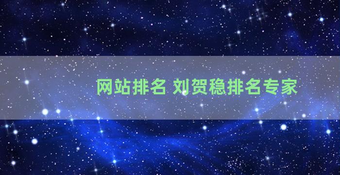 网站排名 刘贺稳排名专家